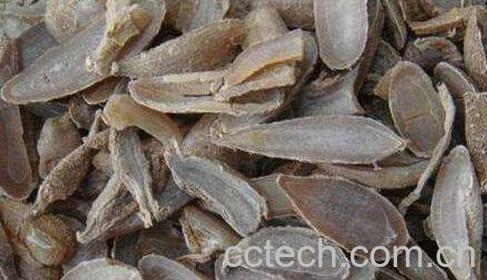 郁金的功效与作用及食用方法-0