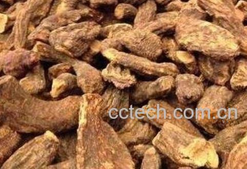 远志肉的功效与作用-0