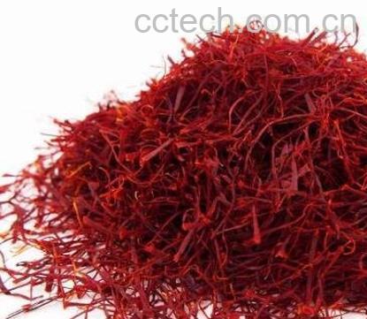 藏红花-0