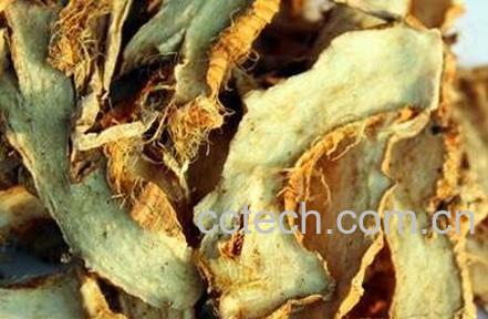 知母功效与作用及禁忌-0