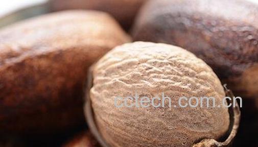 玉果的功效与作用及禁忌-0