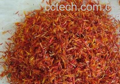 伊朗红花与藏红花区别-0
