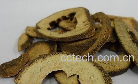 枳壳的作用与功效-0