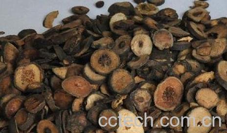 枳实的功效与作用及食用方法-0