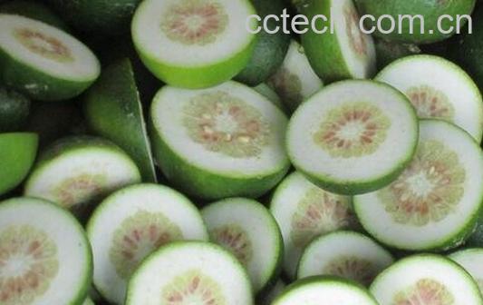 枳壳的功效与作用及食用方法-0