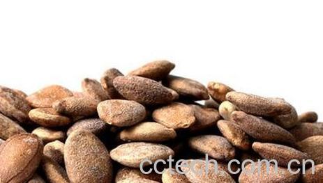 野葫芦籽的功效与作用-0