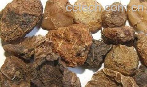 中药山慈菇的功效与作用-0