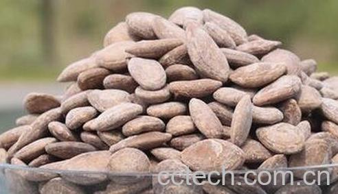 野瓜篓籽的药用价值-0