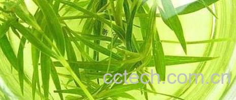 竹子叶-0
