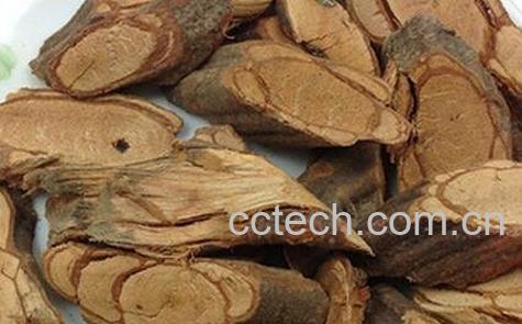 中药牛奶根的功效与作用-0