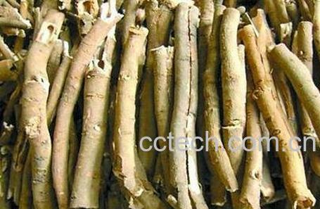 牡丹皮的功效与作用及禁忌-0