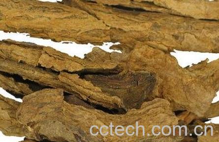 地骨皮的功效与作用及禁忌-0