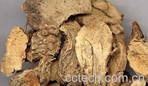 中药山豆根的功效与作用及禁忌-0