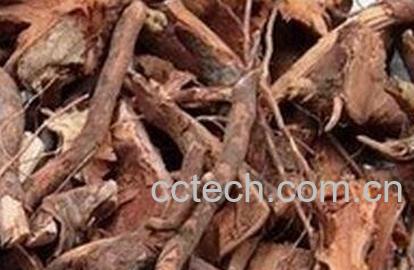 中药稔子根的功效与作用-0