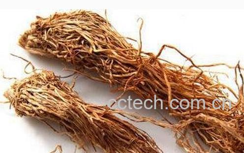 中药糯米根的功效与作用-0