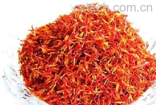 藏红花-0