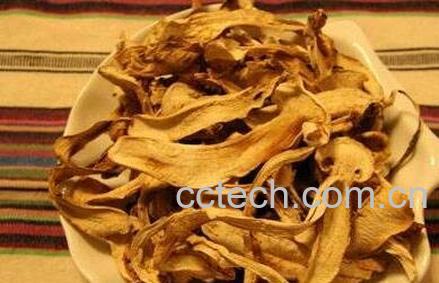 桑白皮的药用价值与作用-0