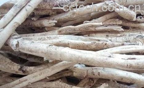 白鲜皮的功效与作用及禁忌-0