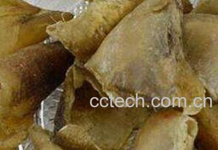 猪指甲壳的药用价值-0