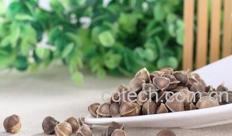 籽壳的功效与作用-0