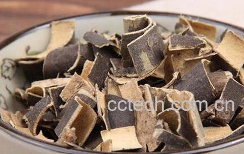 中药秦皮的功效与作用-0