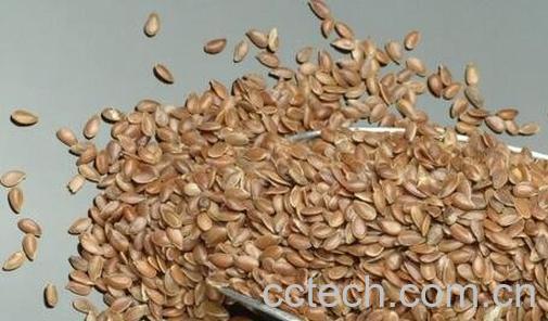 中药籽壳的功效与作用-0