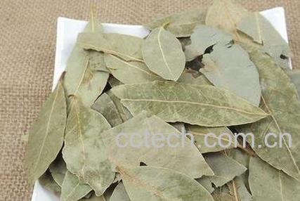 香叶的功效与作用及食用方法-0