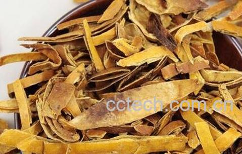 中药瓜蒌壳的功效与作用及禁忌-0