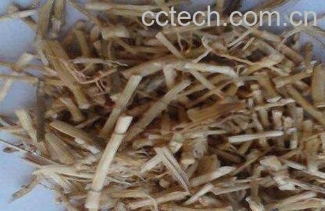 中药茅草根的功效与作用及禁忌-0