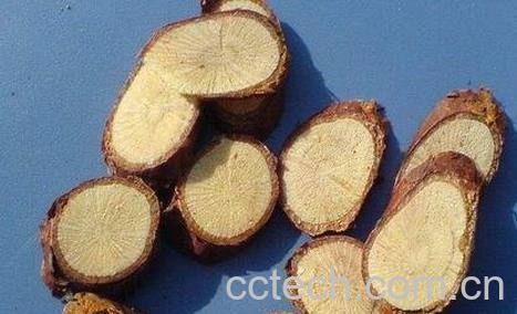 中药金樱子根的功效与作用-0