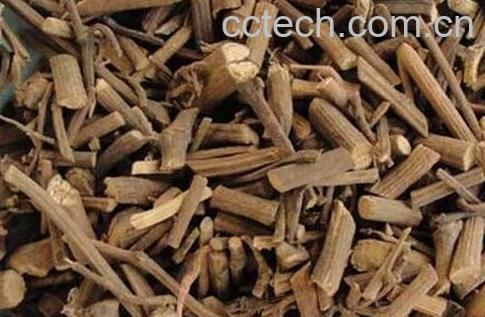 中药海风藤的功效与作用及禁忌-0