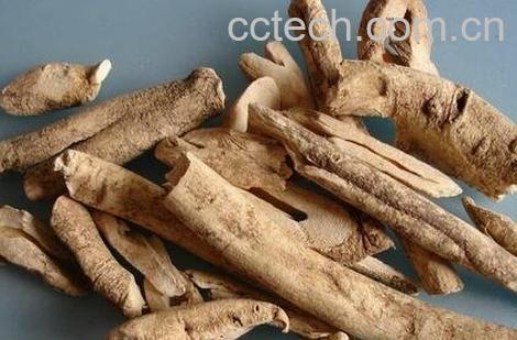 中药土荆皮的功效与作用-0