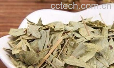 中药番泻叶的功效与作用及食用方法-0