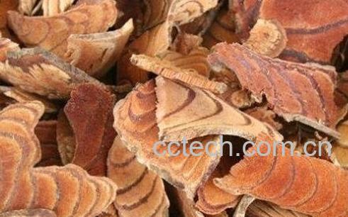 中药鸡血藤的作用与功效-0