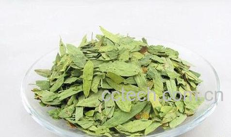 中药泻叶的功效与作用-0