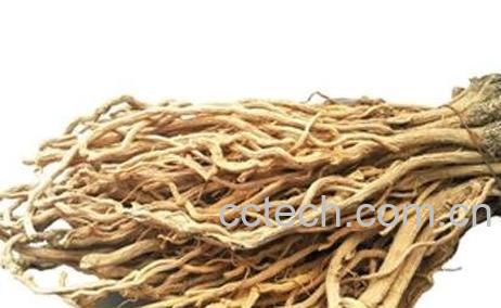 中药板蓝根的功效与作用及禁忌症-0