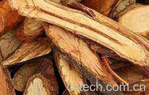  中药首乌藤的功效与作用及食用方法-0