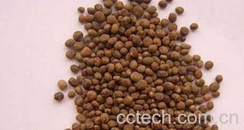 指甲花籽的药用价值 指甲草籽的功效-0