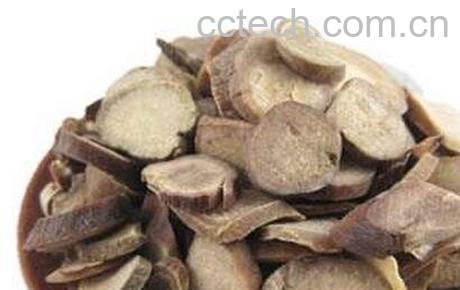 苎麻根的功效与作用及禁忌-0