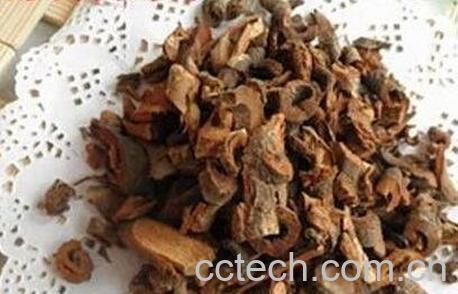 紫荆皮的功效与作用及常见用法-0