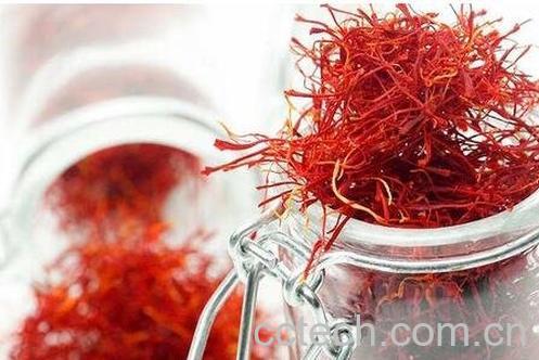藏红花-0