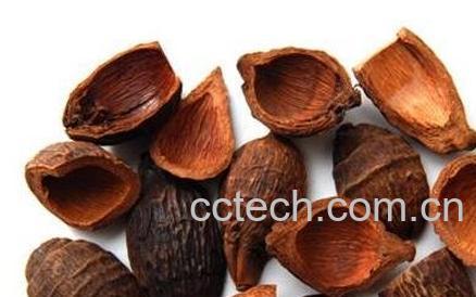 中药腹皮的功效与作用-0