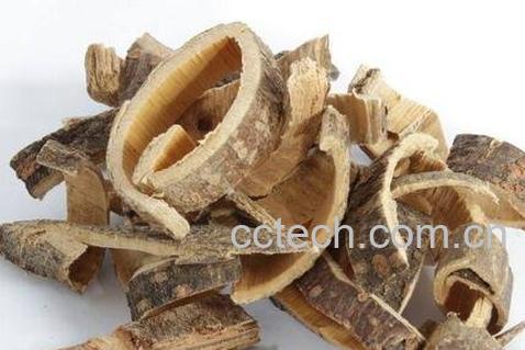 合欢皮的作用与功效-0