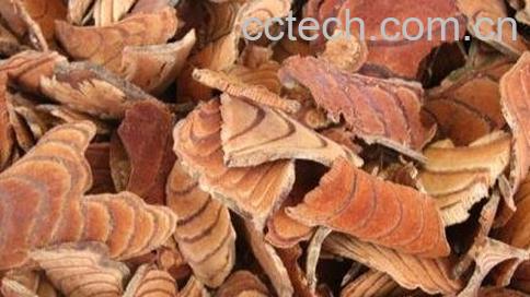 猪血藤的功效与作用-0