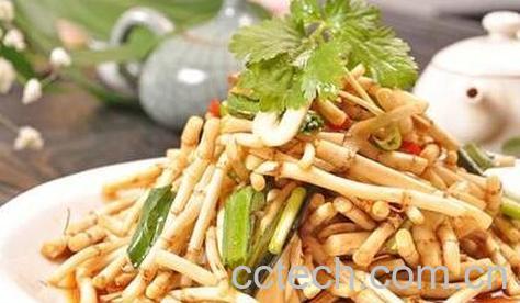 紫耳根的功效与副作用-0