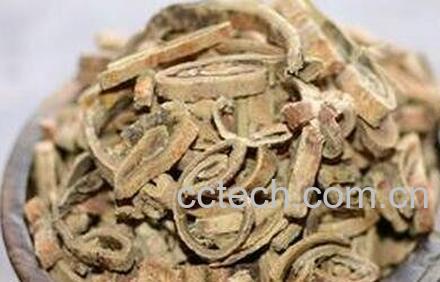 中药桑皮的功效与作用及禁忌-0
