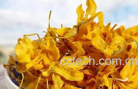 铁皮石斛花的功效-0