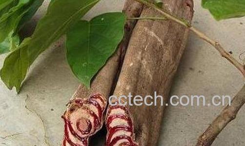 紫血藤的作用与功效-0