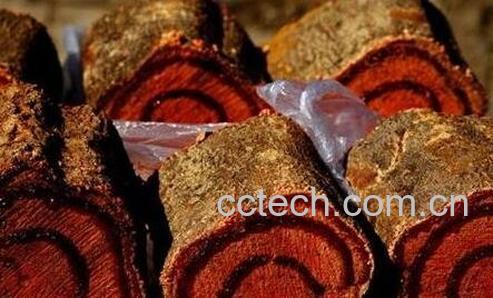 鸡血藤的药用功效与食用方法-0