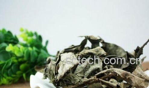 卡琪花蒂玛的功效与作用-0